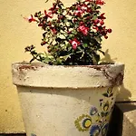 Na Mazurach Kurka Wodna Holiday home