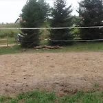 Na Mazurach Kurka Wodna