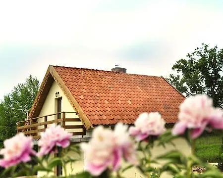 Na Mazurach Kurka Wodna *