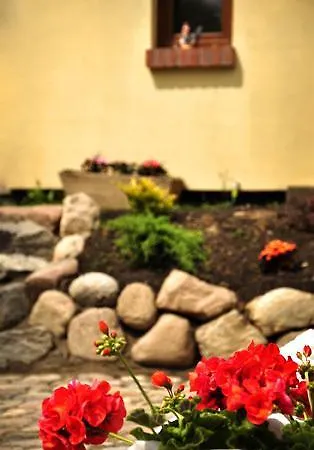Na Mazurach Kurka Wodna Holiday park Mikolajki (Mragowo)