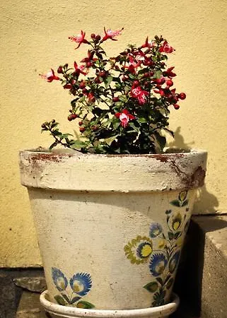 Na Mazurach Kurka Wodna בית נופש