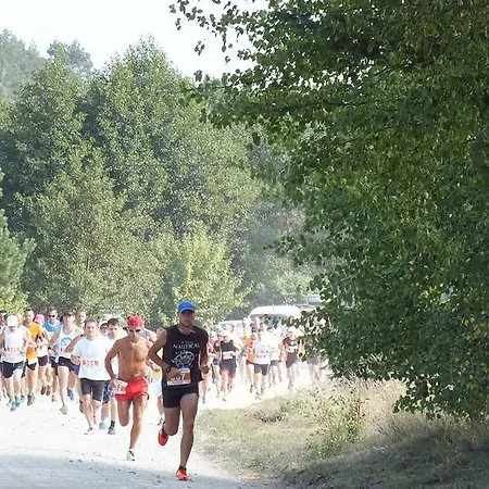 Na Mazurach Kurka Wodna Holiday park
