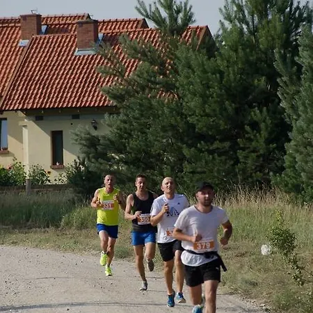Na Mazurach Kurka Wodna * Mikolajki (Mragowo)