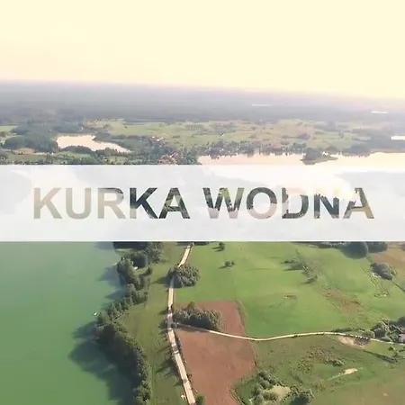 Na Mazurach Kurka Wodna