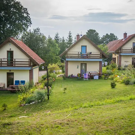 Na Mazurach Kurka Wodna Mikołajki