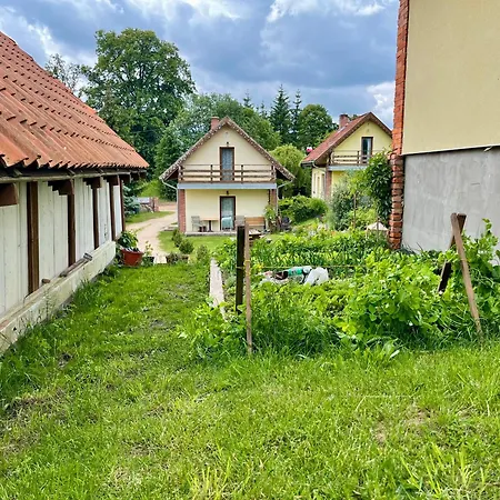 Na Mazurach Kurka Wodna *