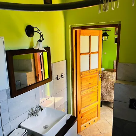 Na Mazurach Kurka Wodna Mikołajki