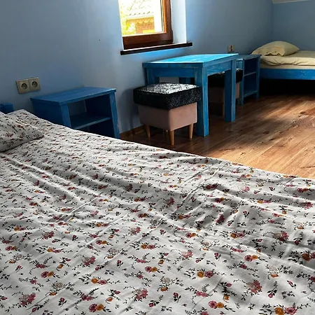 Na Mazurach Kurka Wodna *