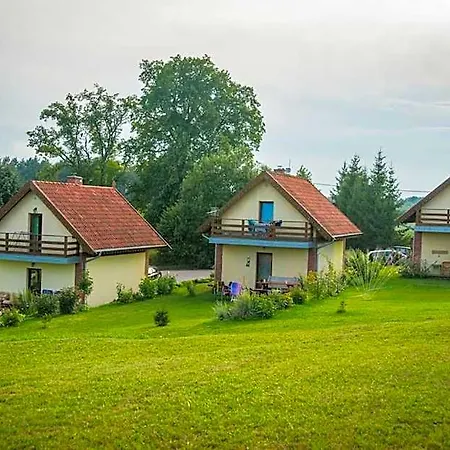 Na Mazurach Kurka Wodna Mikołajki