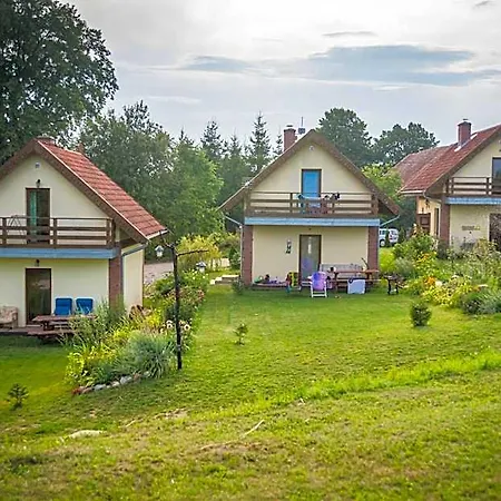 Na Mazurach Kurka Wodna Mikołajki