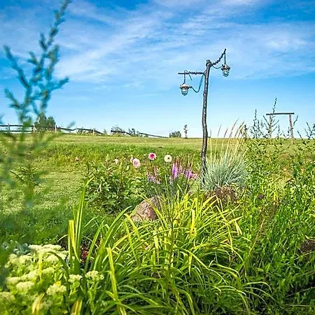 Na Mazurach Kurka Wodna * Mikołajki