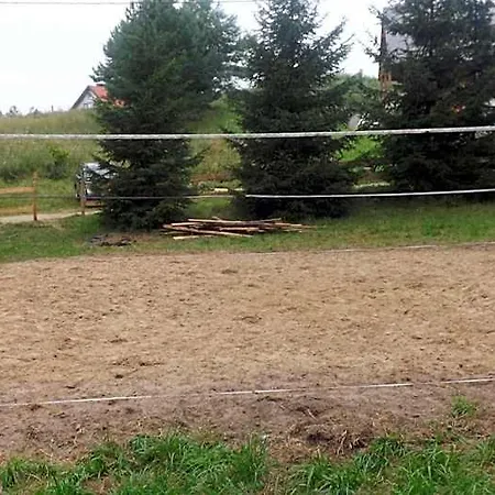 Na Mazurach Kurka Wodna *