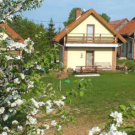 Na Mazurach Kurka Wodna Mikołajki