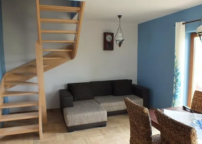 Na Mazurach Kurka Wodna * Mikołajki