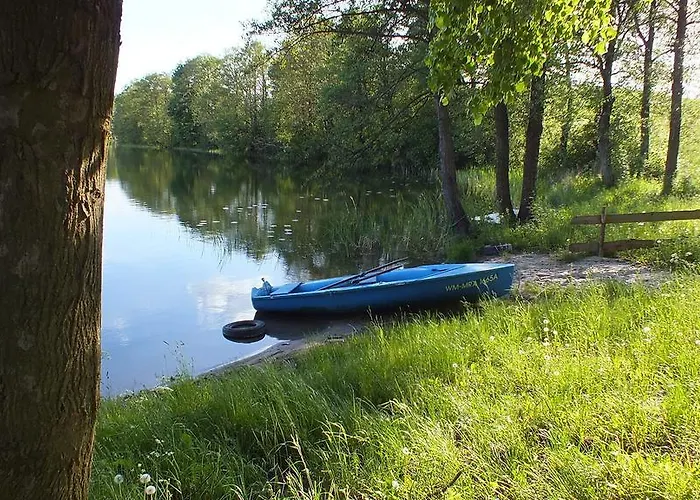 Na Mazurach Kurka Wodna * Mikołajki